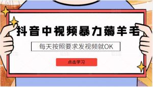 【中视频计划视频课程】2022中视频暴力薅羊毛白嫖蓝海项目，3天新号每天也有几十块收益，可批量